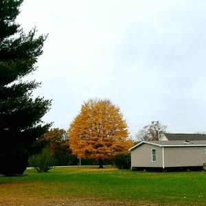 Meet your Posher, Faye